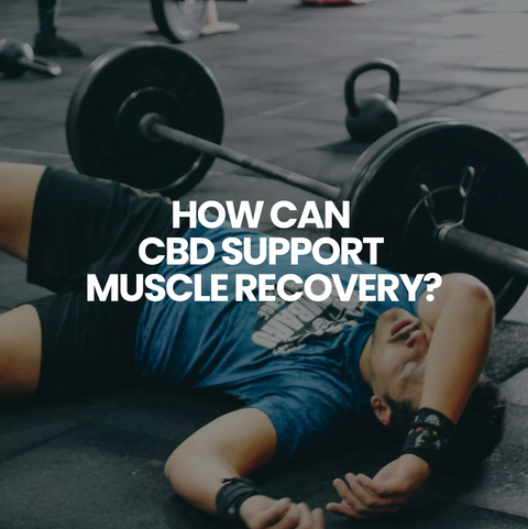 How can CBD Support Muscle Recovery? 