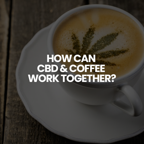 How can Coffee and CBD work together?