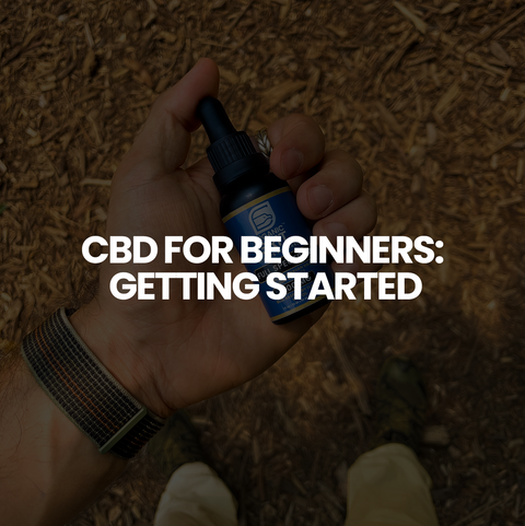 CBD For Beginners 