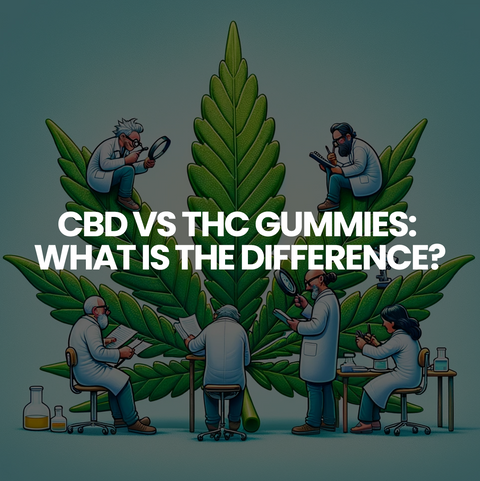 CBD vs THC Gummies