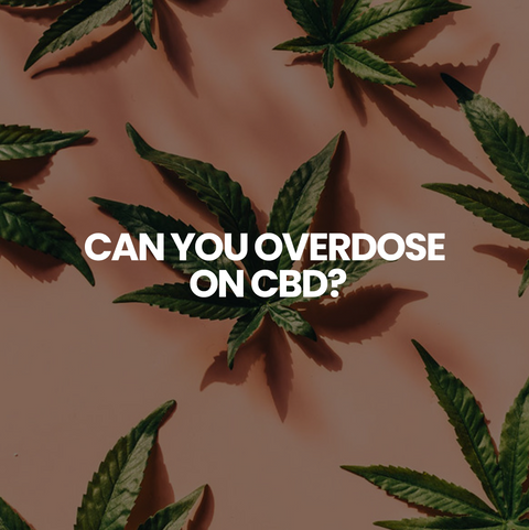Can You Overdose on CBD? Everything You Need to Know