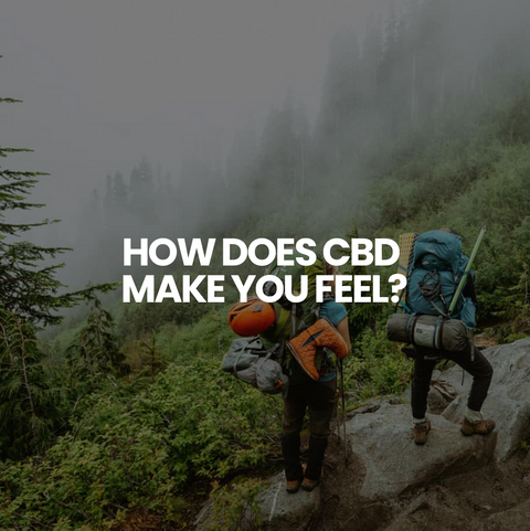 How Does CBD Make You Feel?