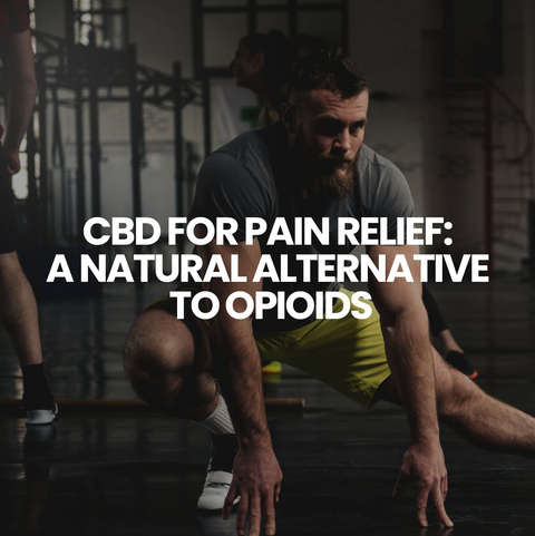 CBD for Pain Relief: A Natural Alternative to Opioids