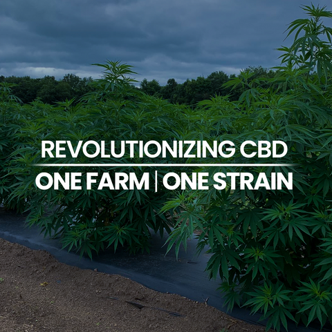 Revolutionizing CBD: One Farm, One Strain
