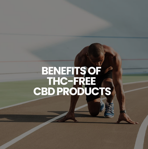 Benefits of THC-Free CBD Products