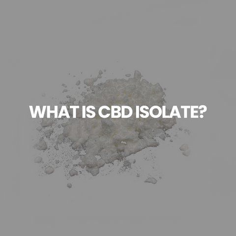 What is CBD Isolate?