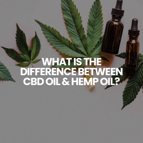 Whats the difference between CBD Oil & Hemp Oil?