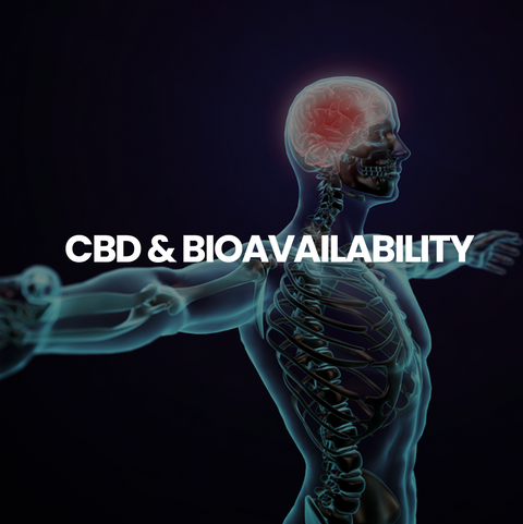 CBD & Bioavailability  